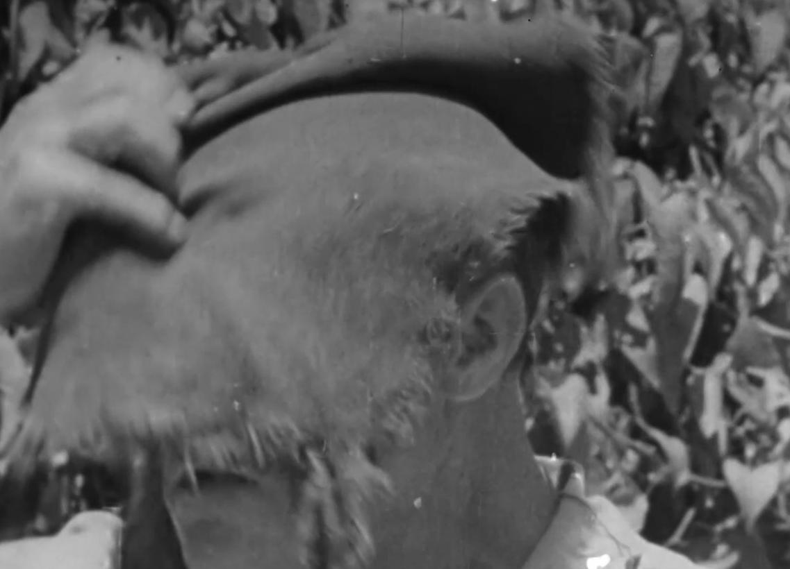 [אסופת חומרים ארכיוניים]
