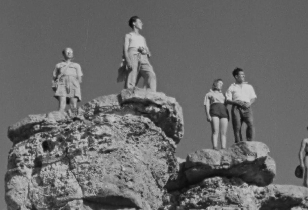 שורשים בסלע