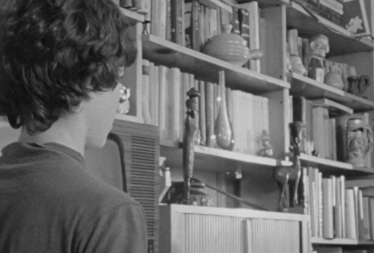 העץ שייך גם לך