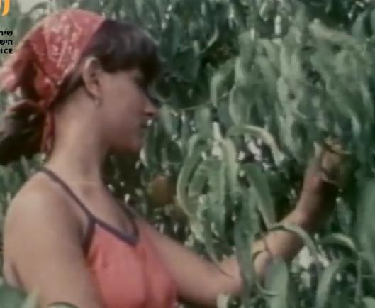 מבט ישראל - חקלאות