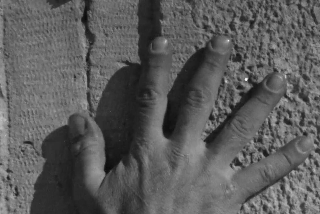 הכותל המערבי