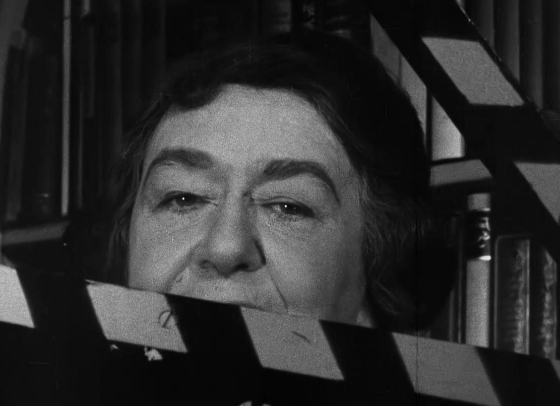 [מקבץ צילומים]