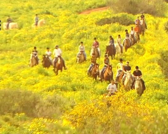 חופשה בישראל - חופשה בכרמלים