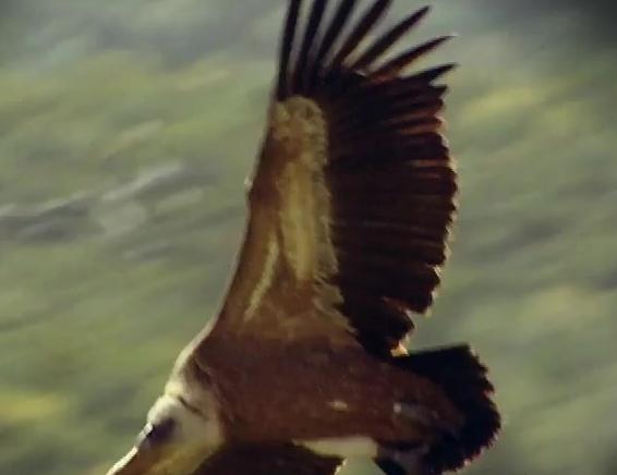 חופשה בישראל - חיפה