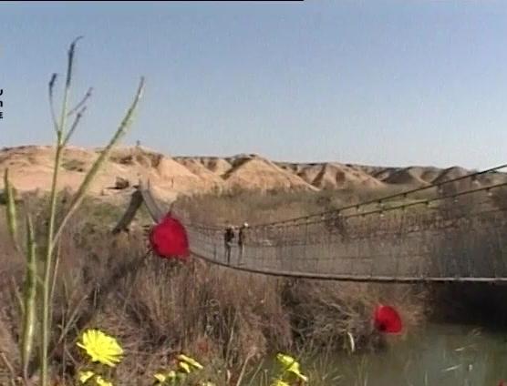 חופשה בישראל - נגב