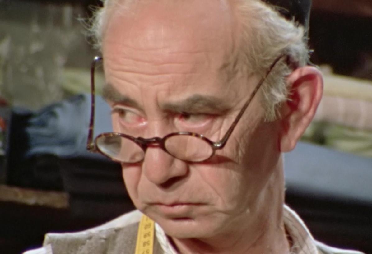 גלגוליו של מעיל