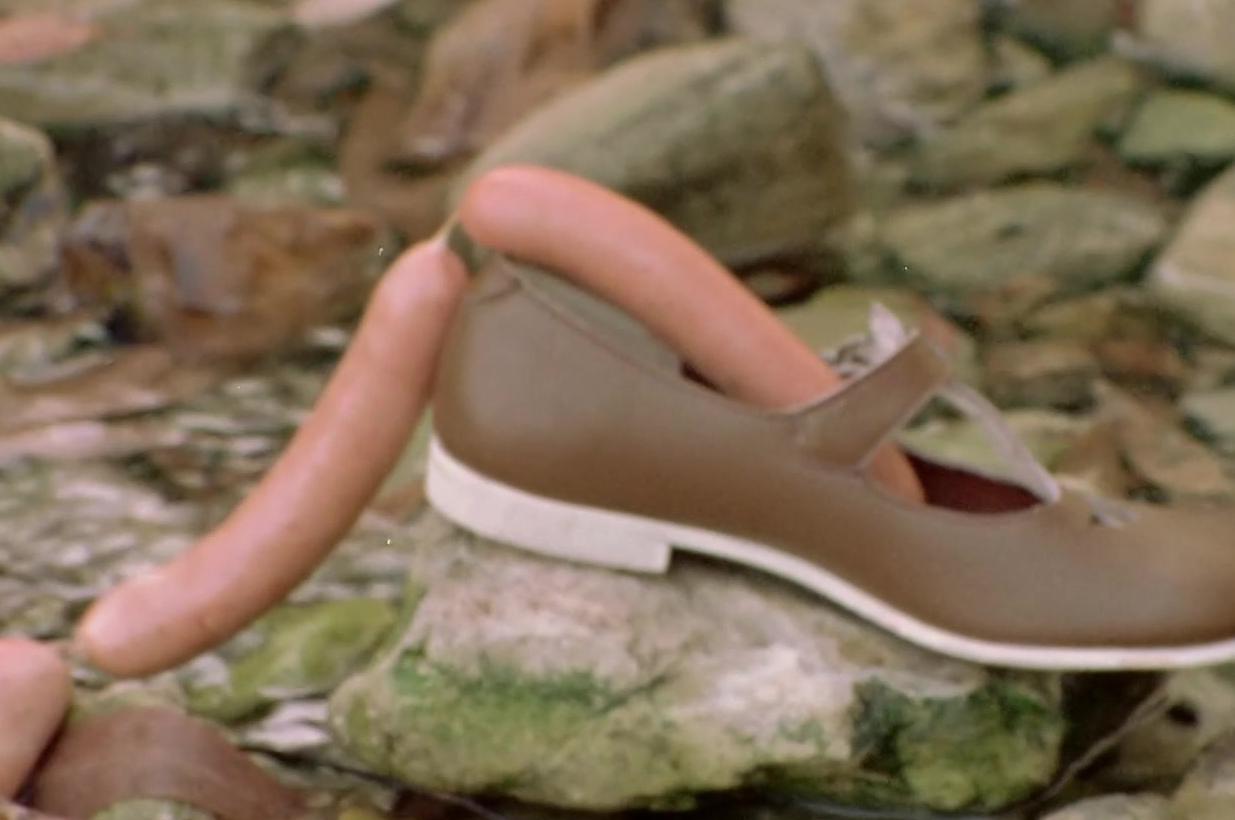 סנדליים ונעליים