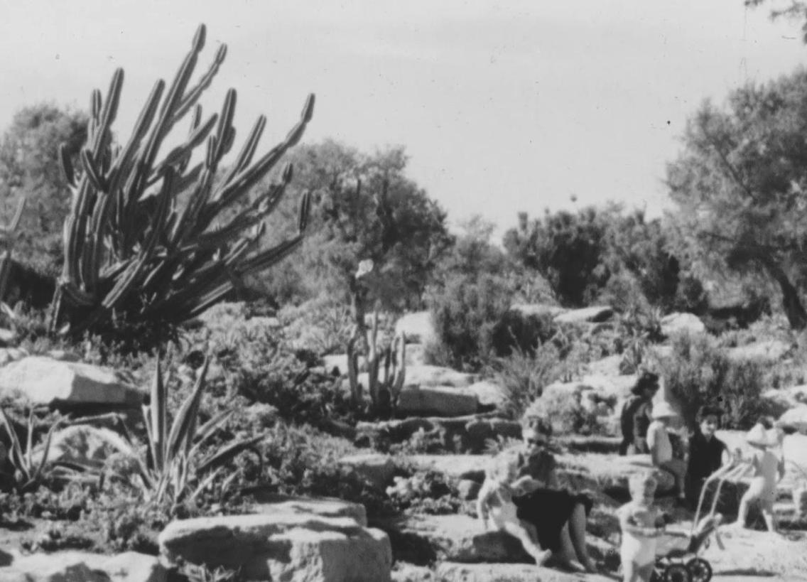 האחת במקום רבות