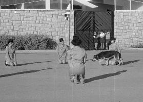 חיילות חיב״ה מסיימות את קורס ההכשרה