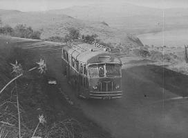 פתיחת עונת הרחצה בטבריה