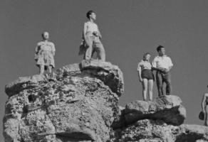 שורשים בסלע