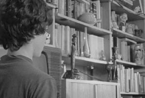 העץ שייך גם לך