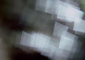 בבואות פנטסיה