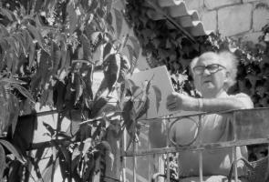 אמני ישראל - הצייר דוד לבקובסקי