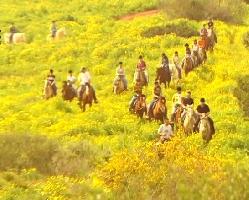 חופשה בישראל - חופשה בכרמלים