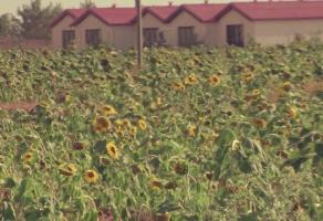 מועצה אזורית מטה אשר - תחילת הדרך