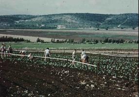 ילדים עובדים בגינה בכפר נוער