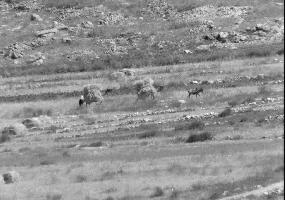 ביקור במושב אביבים וקיבוץ ברעם אחרי הפיגוע באוטובוס התלמידים