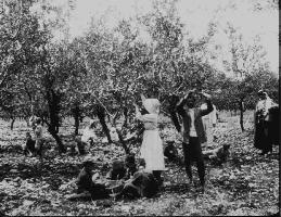 ראש פינה הצעירה