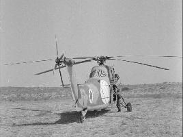 נשיא המדינה יצחק בן צבי צופה בתרגיל צהל