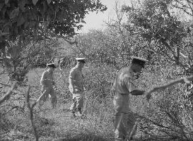 חיפושים אחרי דליה אליהו בת ה-6 שנחטפה על פי החשד על ידי שכנתה