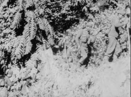 חדשות מן העולם, דצמבר 1962