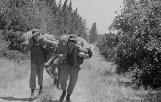 בוקר, ריצה