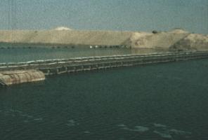 האם פאיד בוערת? 1974-1973